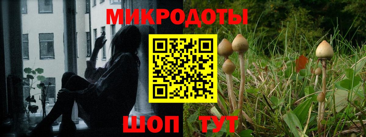 Галлюциногенные грибы GOLDEN TEACHER  Вход с VPN  Тихорецк 